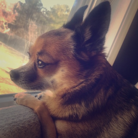 Meet your Posher, Nicole - Picture 1 of 4